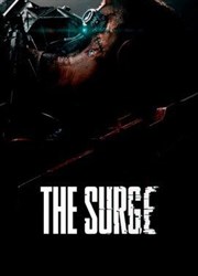 The Surge PC