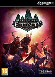 Pillars of Eternity - Hero Edition PC