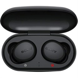 Sony WF-XB700 Truly Wireless Headphones with EXTRA BASS™